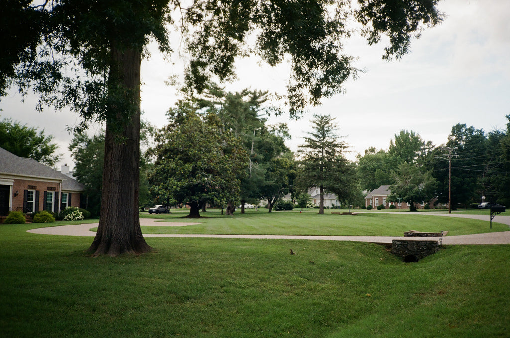 Canon Sure Shot Supreme (Autoboy 3)